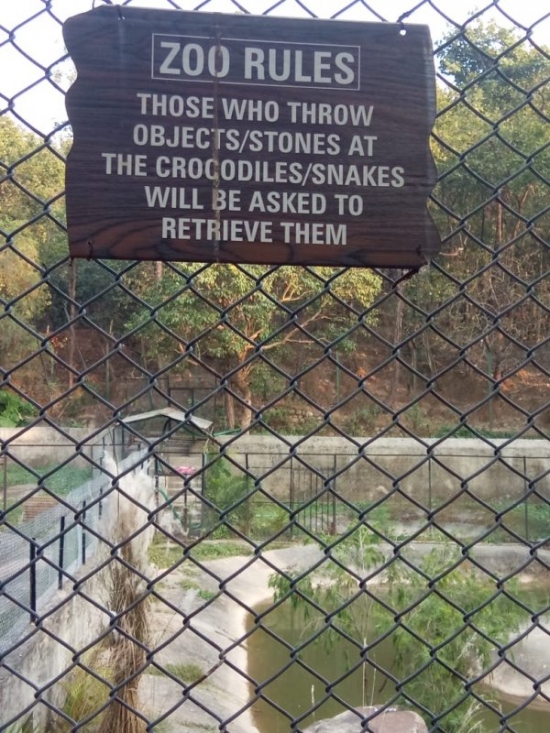 Zoo Rules